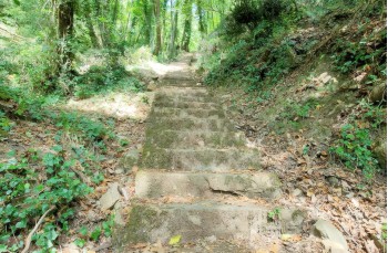 Trail ad anello San Rocco - Semaforo vecchio - Semaforo Nuovo - Punta Chiappa