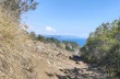 Percorso ad anello da Nozarego - San Fruttuoso di Camogli