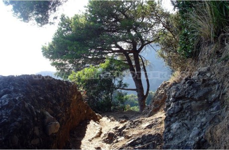 Portofino - San Fruttuoso