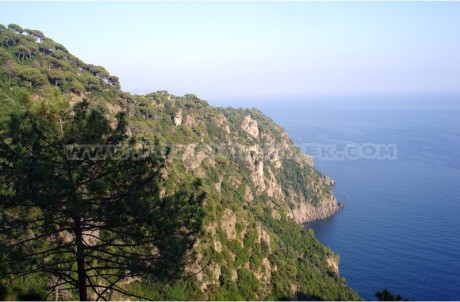 Portofino - San Fruttuoso