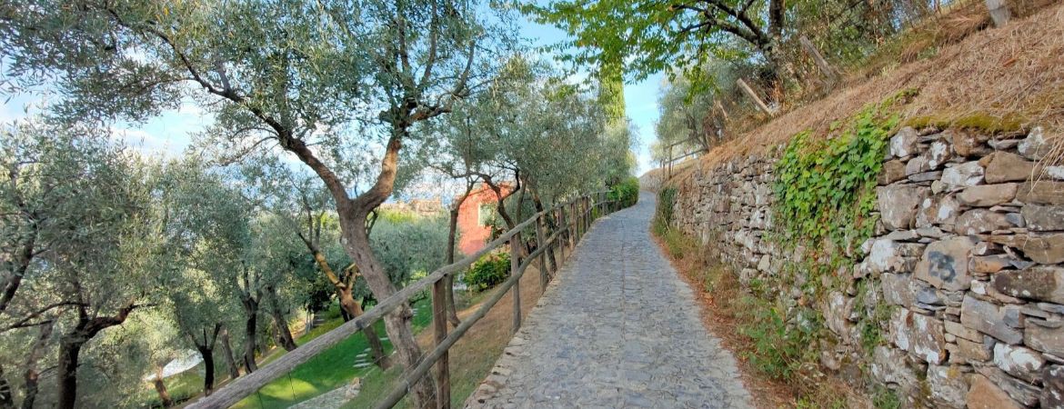 Wanderwege ab Nozarego | Touren im Portofino-Park