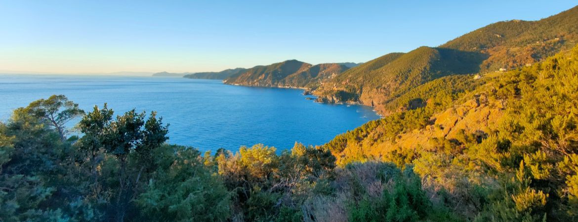 Depuis d'autres localités