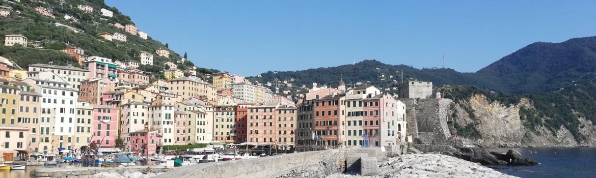 Walking Path from Camogli