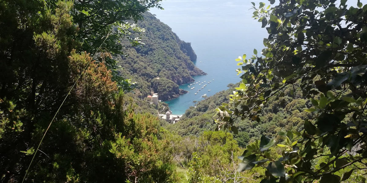 san_fruttuoso.jpg