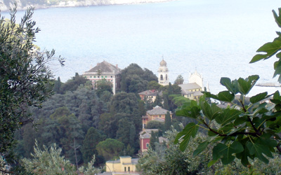 Villa Durazzo vista dal Parco di Portofino