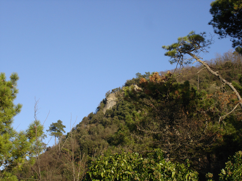 Rocca del falco panoramic point in the Park of Portofino