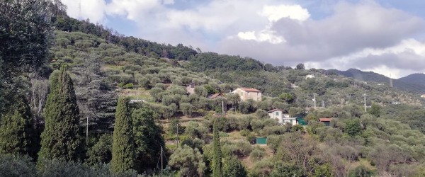 Rapallo hills