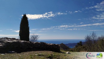 Escursione guidata su anello panoramico Tra Rapallo E Zoagli