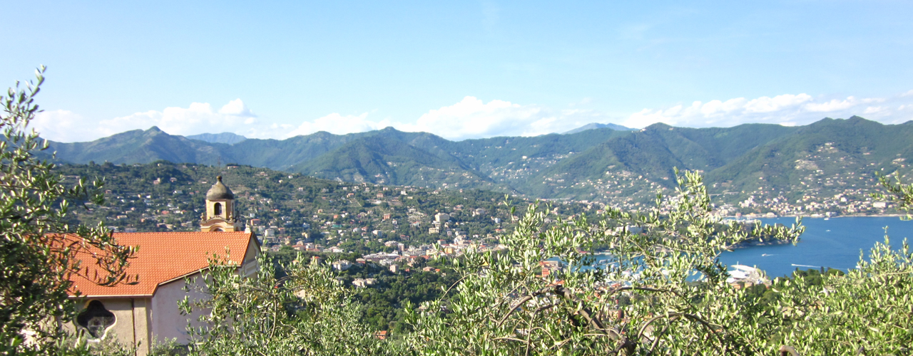 Nozarego