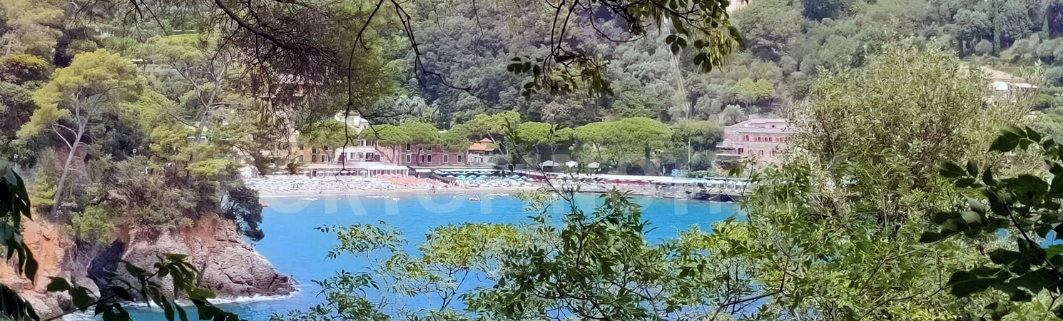 Paraggi